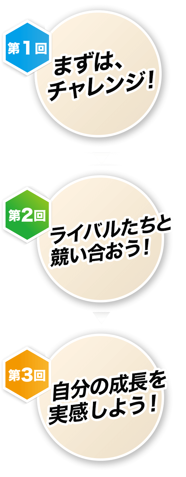 年間スケジュール